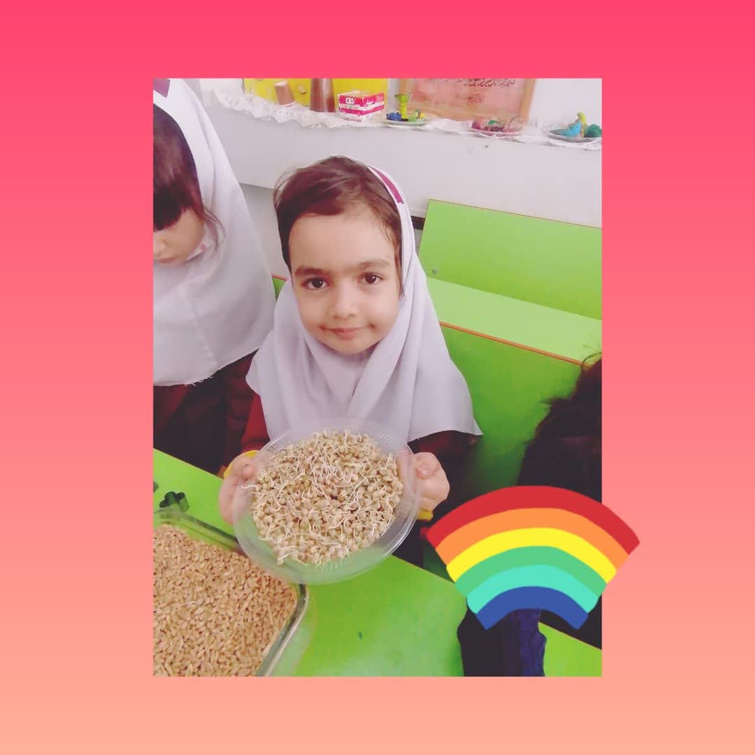 پیش دبستانی و دبستان شمیم ولایت
